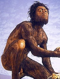 Artist rendition of Homo Habilis. (Click on image to view larger.)